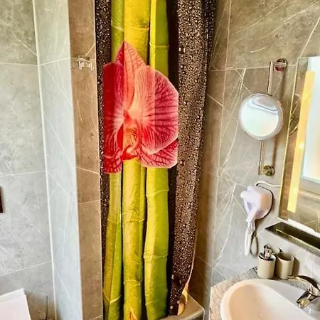 Bed & Breakfast Bodensee Sunshine & Apts. Uhldingen-Muehlhofen