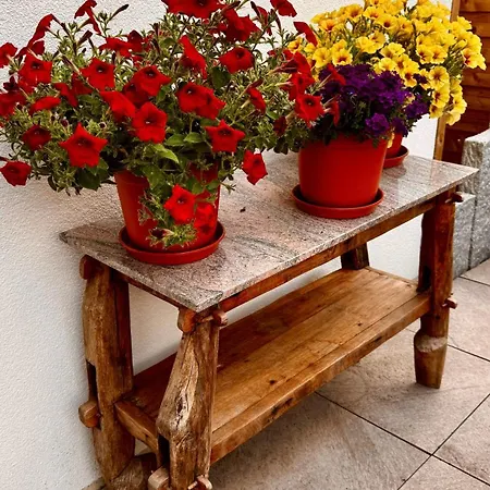 Couette-café Bodensee Sunshine & Apts. *