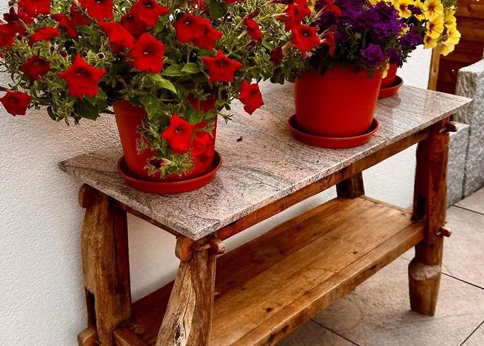 Oda ve Kahvaltı Bodensee Sunshine & Apts. 3*